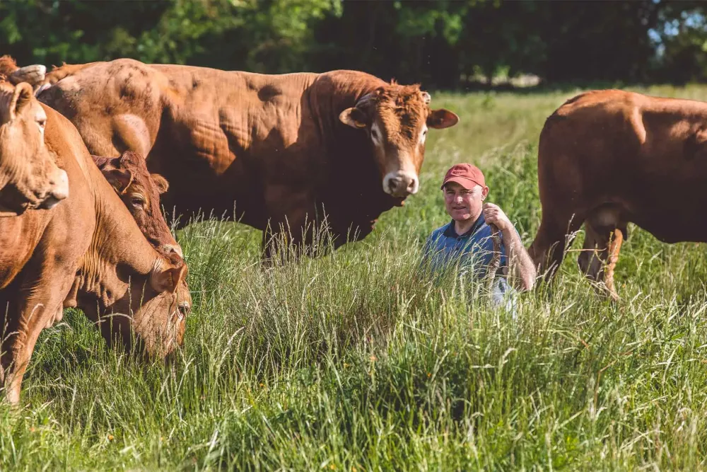 producteur viande bovine à Virson
